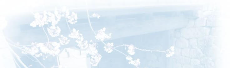 14yo ! lésbica aroace gênero-fluido ౨ৎ artista, vezes escritora e faço icons ! maior fã de frankenstein e filha dos yoshikaru, neurodivergente ꒰ tdah ꒱ infp-t ɞ